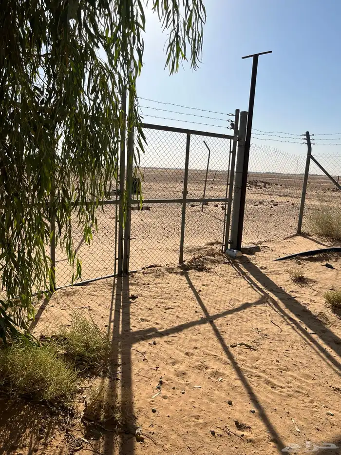 مزرعة للإيجار 2