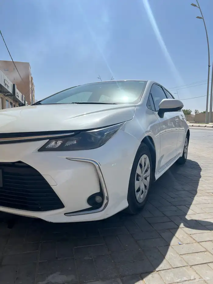 بيلاا 0