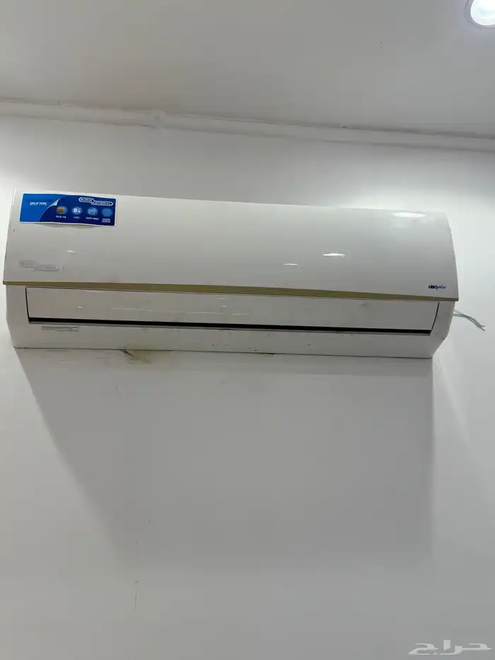 محل بطاطس للتقبيل 24