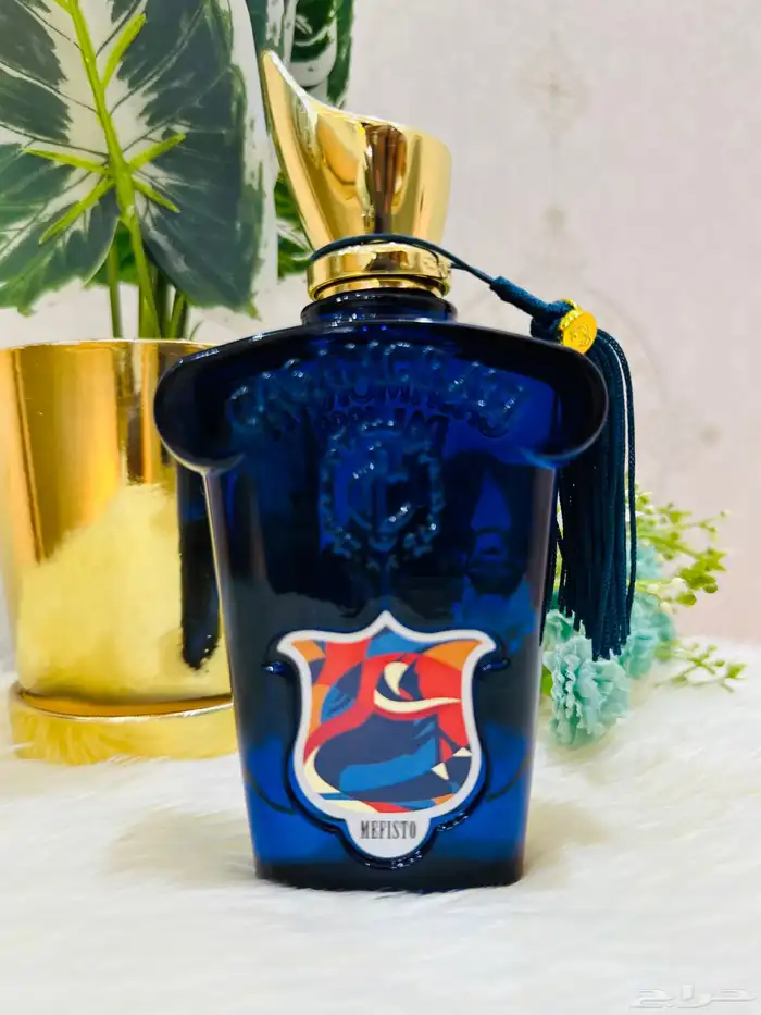 مملكة العطور عطورات تستر اصلية جرب وصدقني راح تكون زبون 13