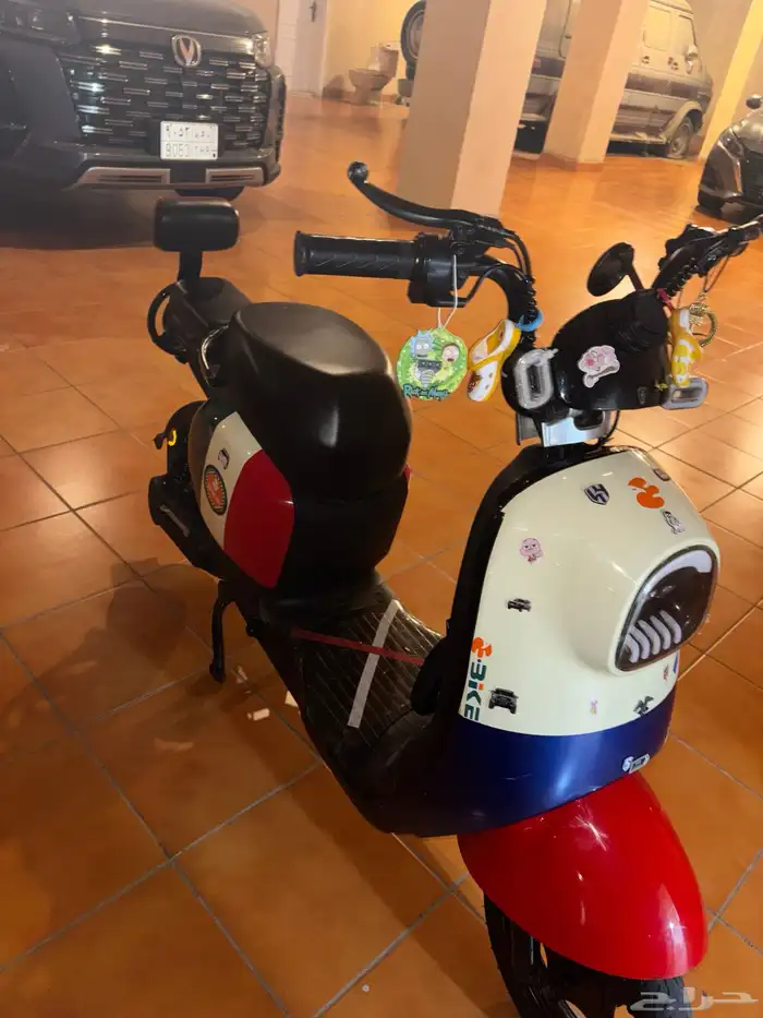دباب بطه كهربائي 3