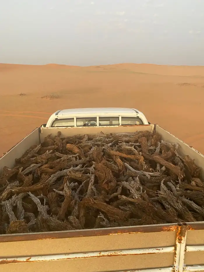 هايلكس ارط. ى ر م ث 2