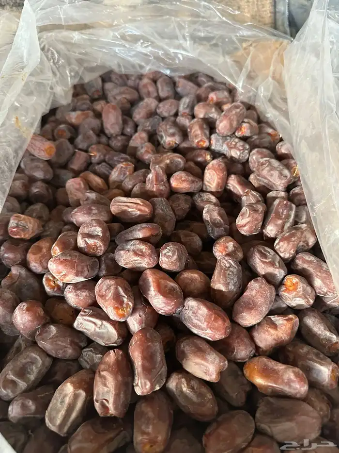 خضري تمير 1