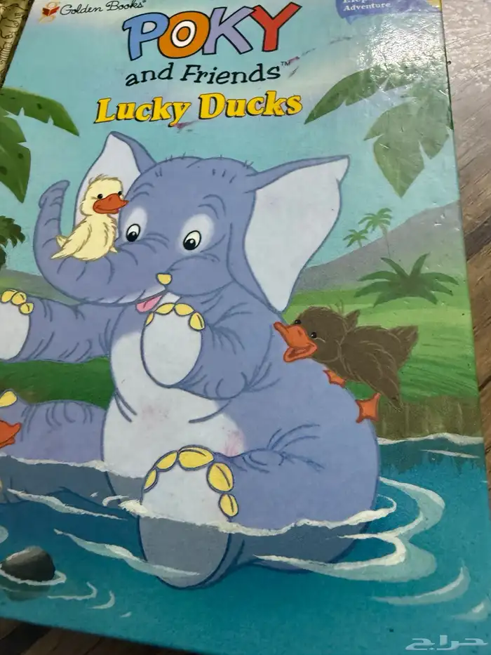 معلمة تاسيس ومتابعه حي المنصوره 2