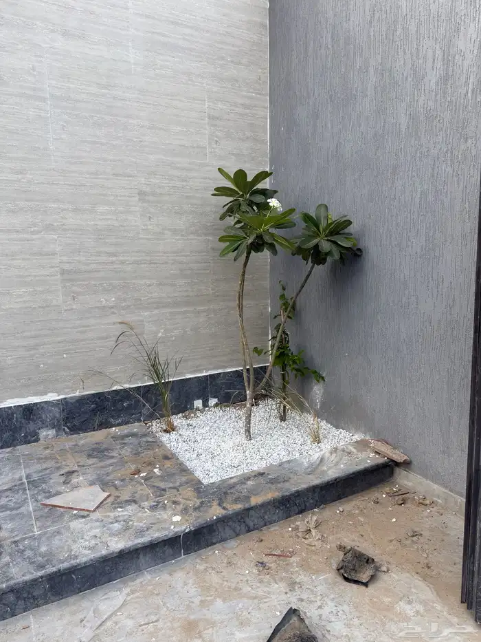 تنسيق حدايق 12