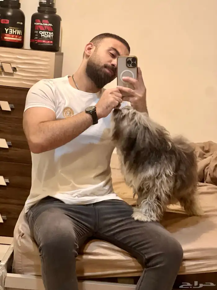 لتبني 0