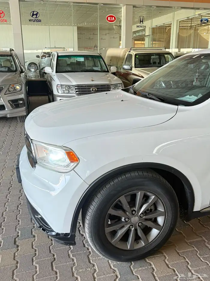 درانقو 2014 4