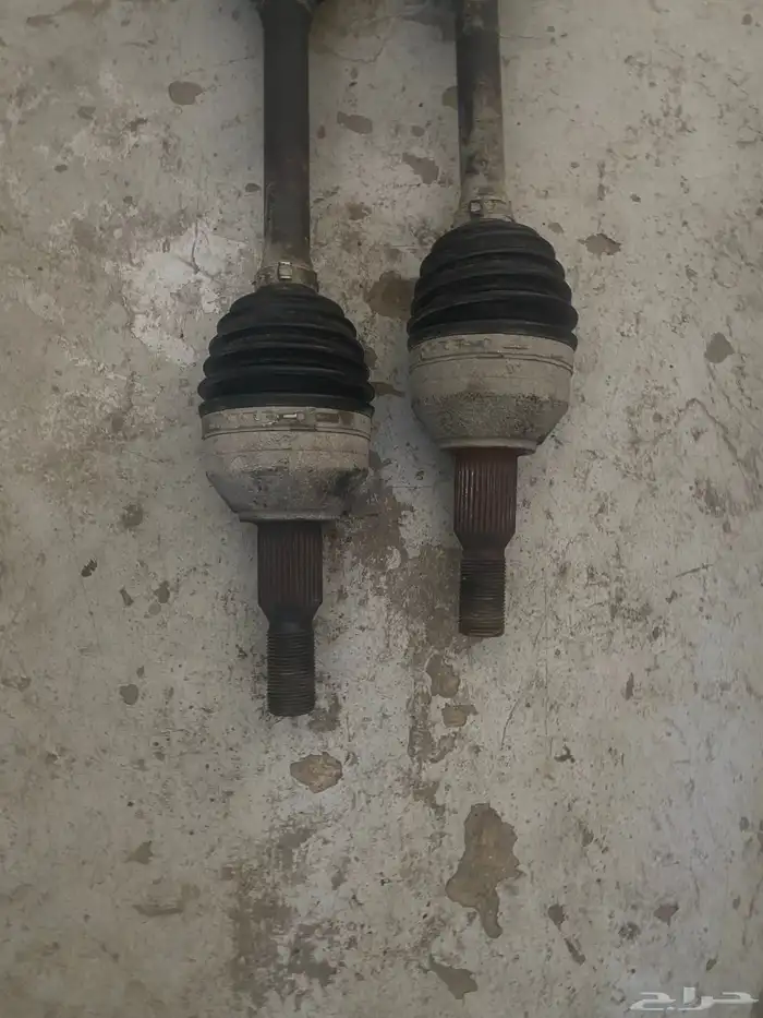 عكوس اكاديا اصليه 2