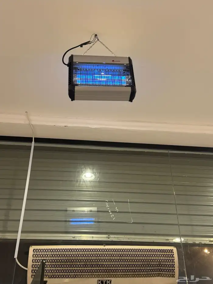 محل بطاطس للتقبيل 18