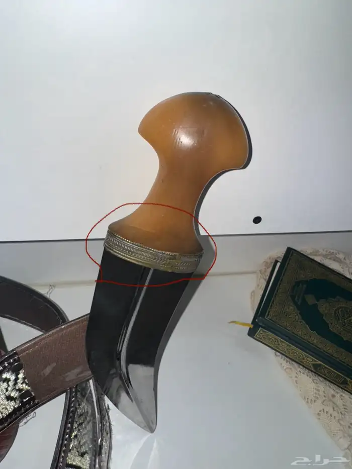جنبيه للبيع 2