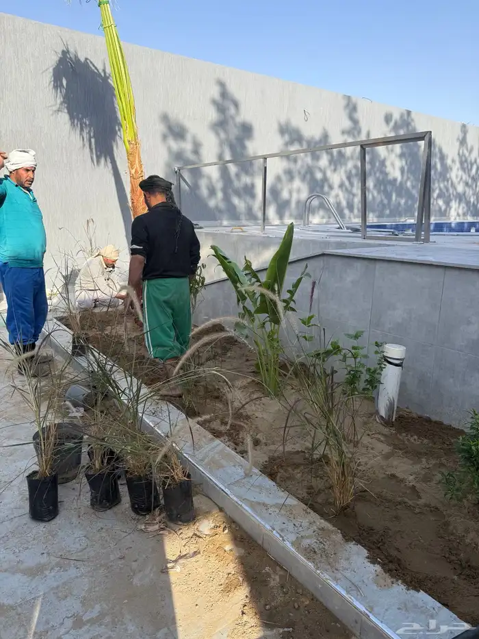 تنسيق حدايق 18