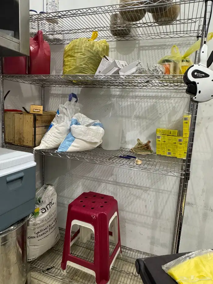 محل بطاطس للتقبيل 31