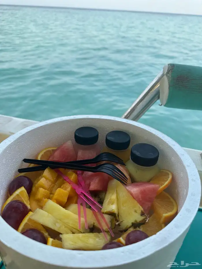 قارب الرايس للنزهه والسباحه والصيد .. 1