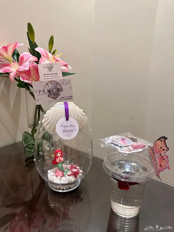 سمك فايتر هديه 16