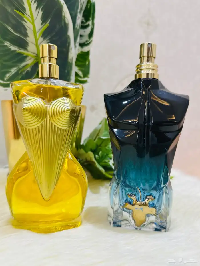 مملكة العطور عطورات تستر اصلية جرب وصدقني راح تكون زبون 16