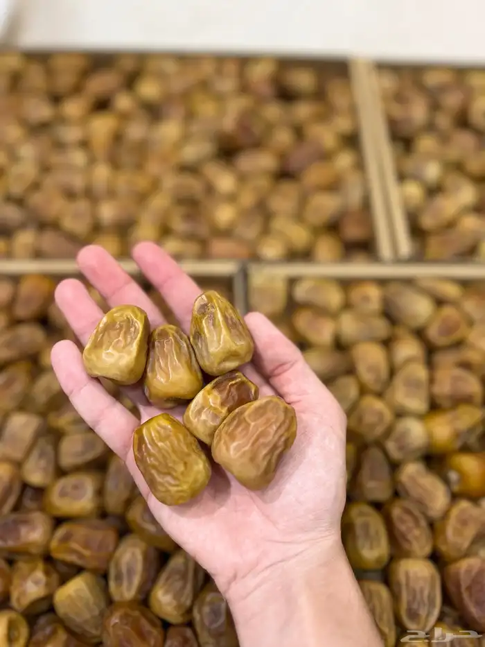 تمر سكري مفتل فاخر 0