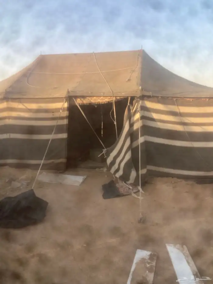 البيع بيت شعر مقاس 9 5 3