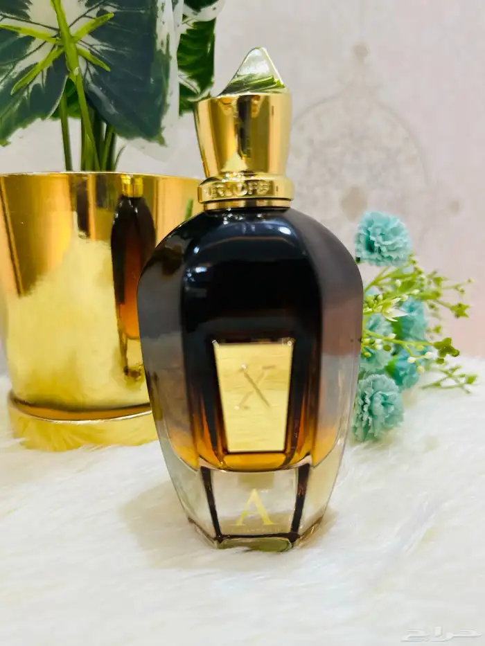 مملكة العطور عطورات تستر اصلية جرب وصدقني راح تكون زبون 10