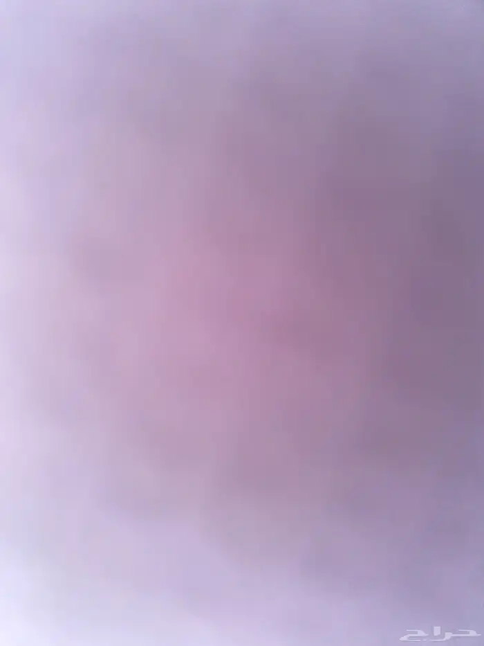 ابحثو شقه لاصفرين4 غرف او عنابس 0