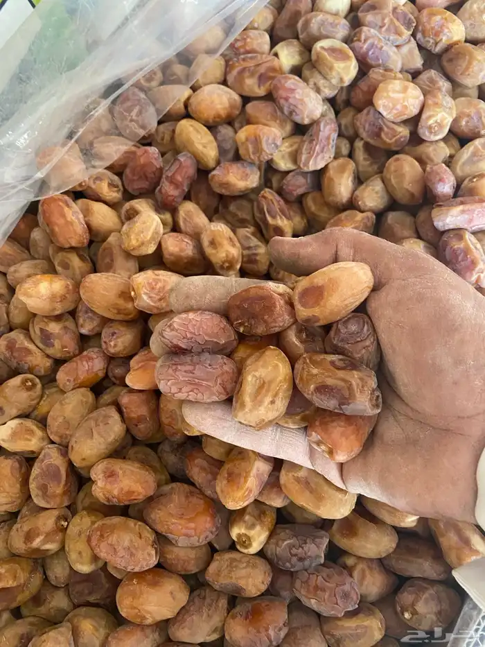تمر خلاص جاهز للمصنع 0