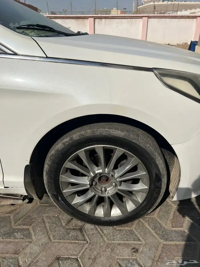 جنوط سوناتا 17 1