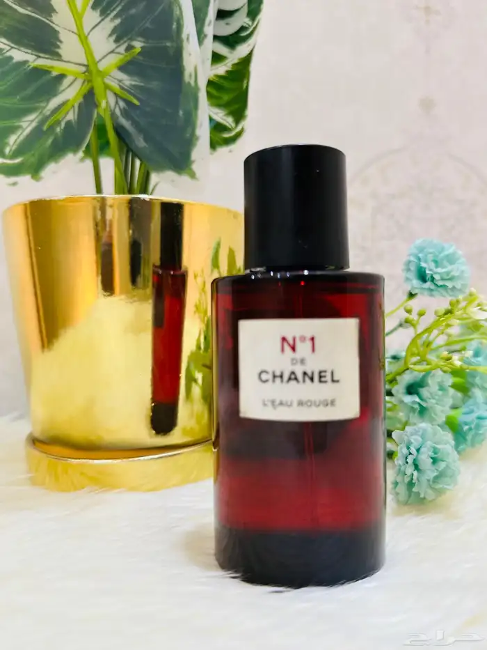 مملكة العطور عطورات تستر اصلية جرب وصدقني راح تكون زبون 8