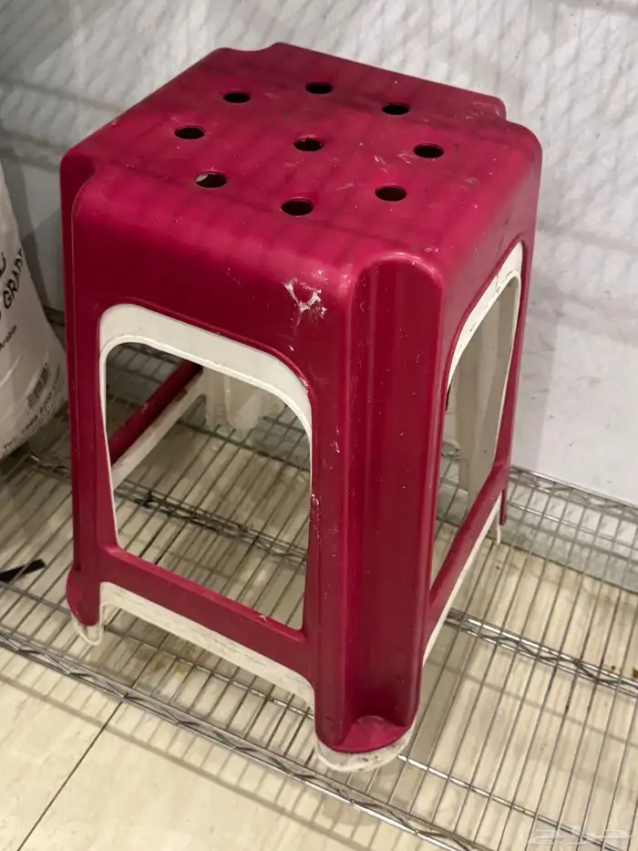 محل بطاطس للتقبيل 4