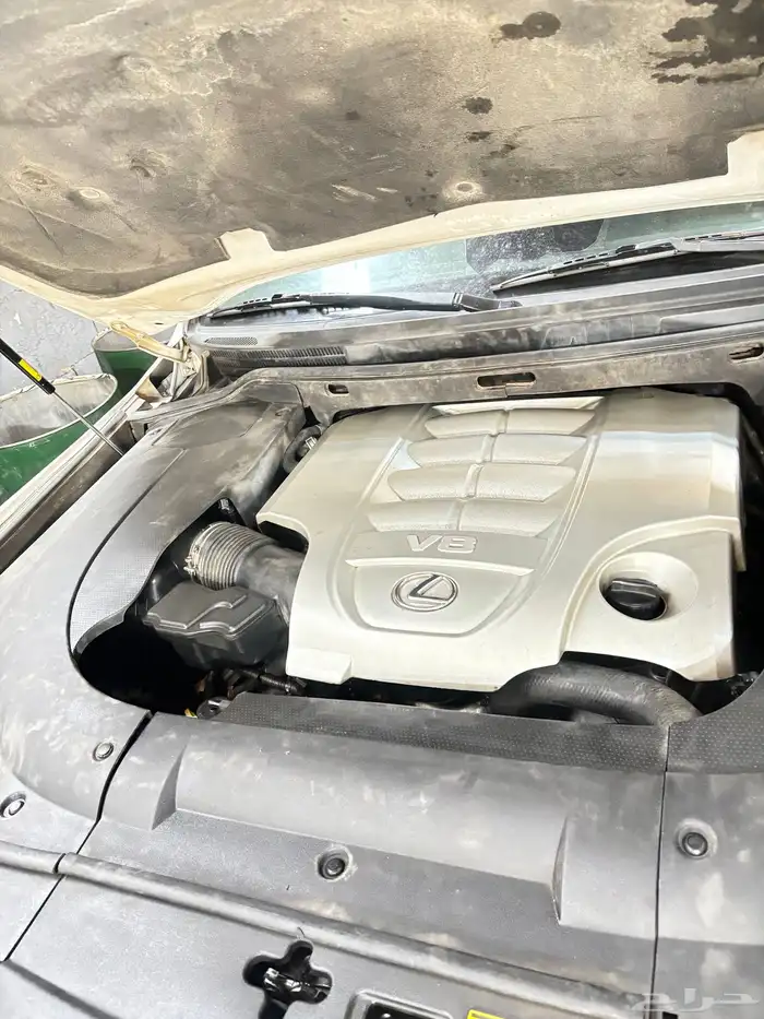 مكينه فورشنر براذو 3