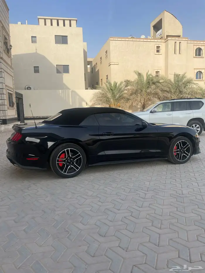 موستنج كوبيه كشف2022 فل كامل 4