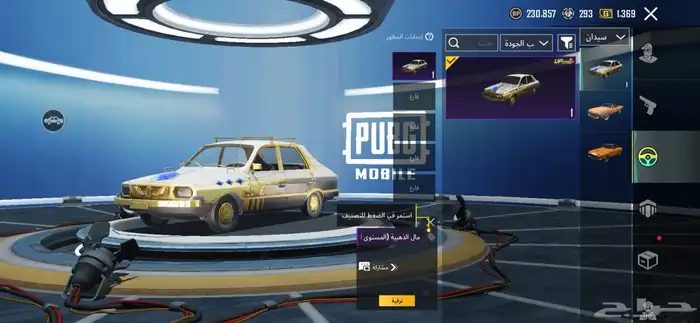 حساب ببجي للبيع 3