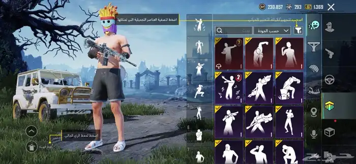 حساب ببجي للبيع 2