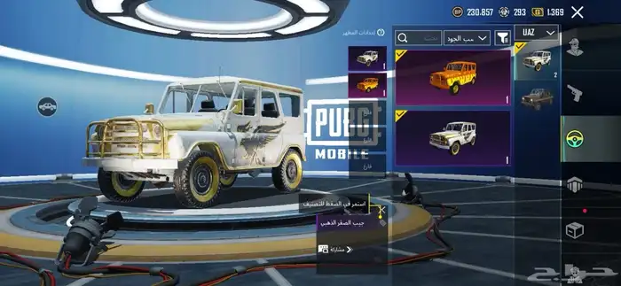 حساب ببجي للبيع 4