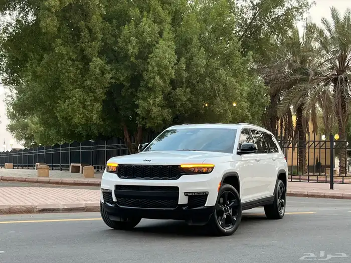 تم البيع 33