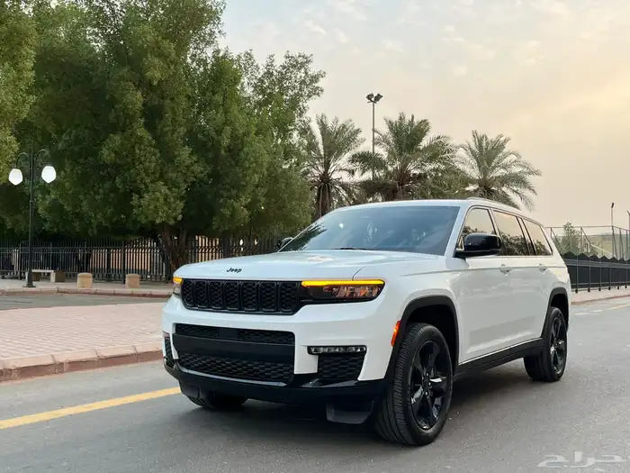 تم البيع 20