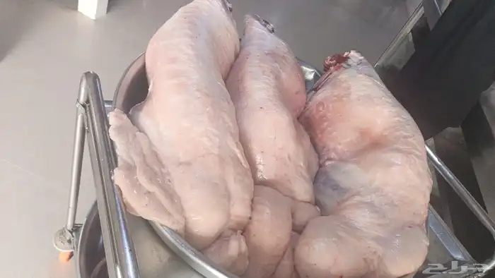 ذبايح رخال طيبه 6