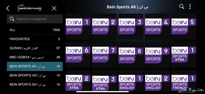 اشتراك لمدة سنة وثلاثة شهورlPTV 6