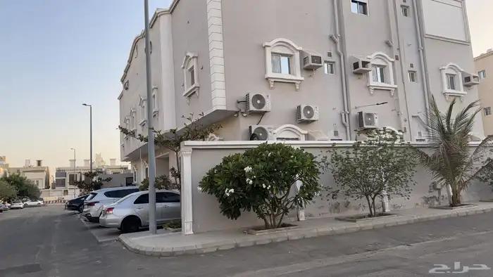 شقة فاخرة للإيجار   جدة - الصالحية 1