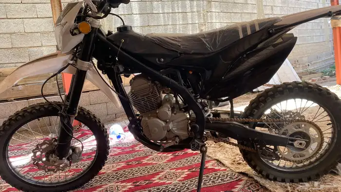 دباب صحراوي 0