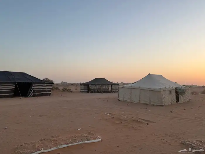 بيت شعر وخيام   بيوت الشعر راحت باقي الخيمه والمواطير 6