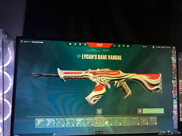 حساب فالو تركي 8