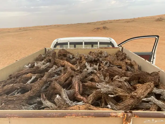 هايلكس ارط. ى ر م ث 0