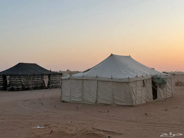 بيت شعر وخيام   بيوت الشعر راحت باقي الخيمه والمواطير 5