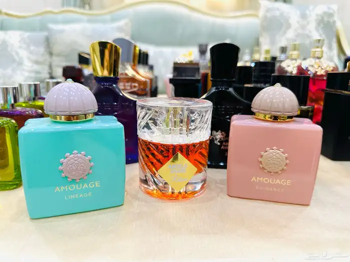 مملكة العطور عطورات تستر اصلية جرب وصدقني راح تكون زبون 2