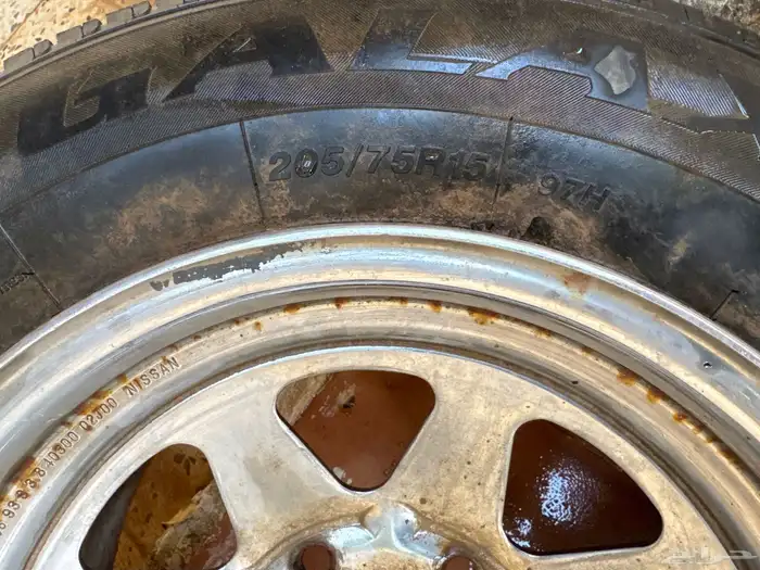 جنوط ددسن 3