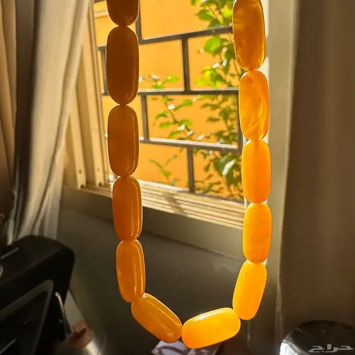 فاتوران صنوبري 3