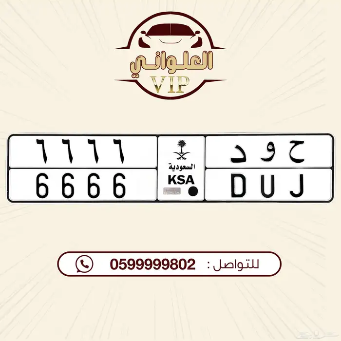 لوحة مميزه للبيع 0