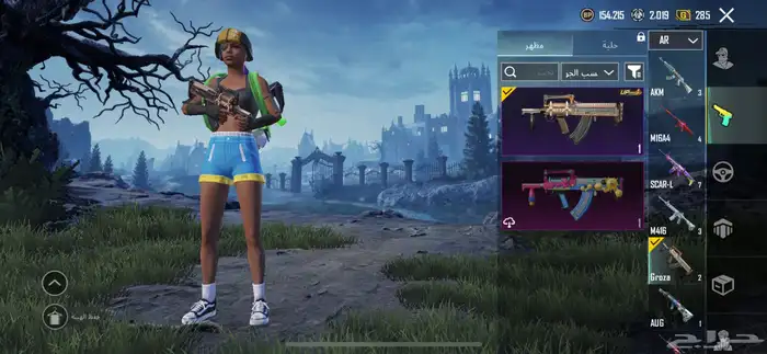 حساب ببجي للبيع مستعجل 14