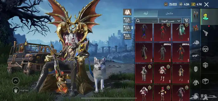 حساب ببجي للبيع 3