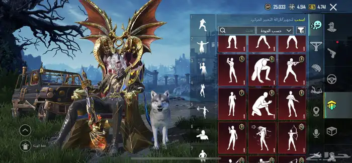 حساب ببجي للبيع 15