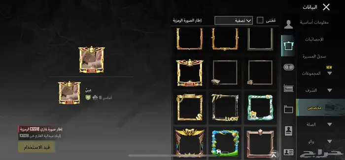 حساب ببجي للبيع 30